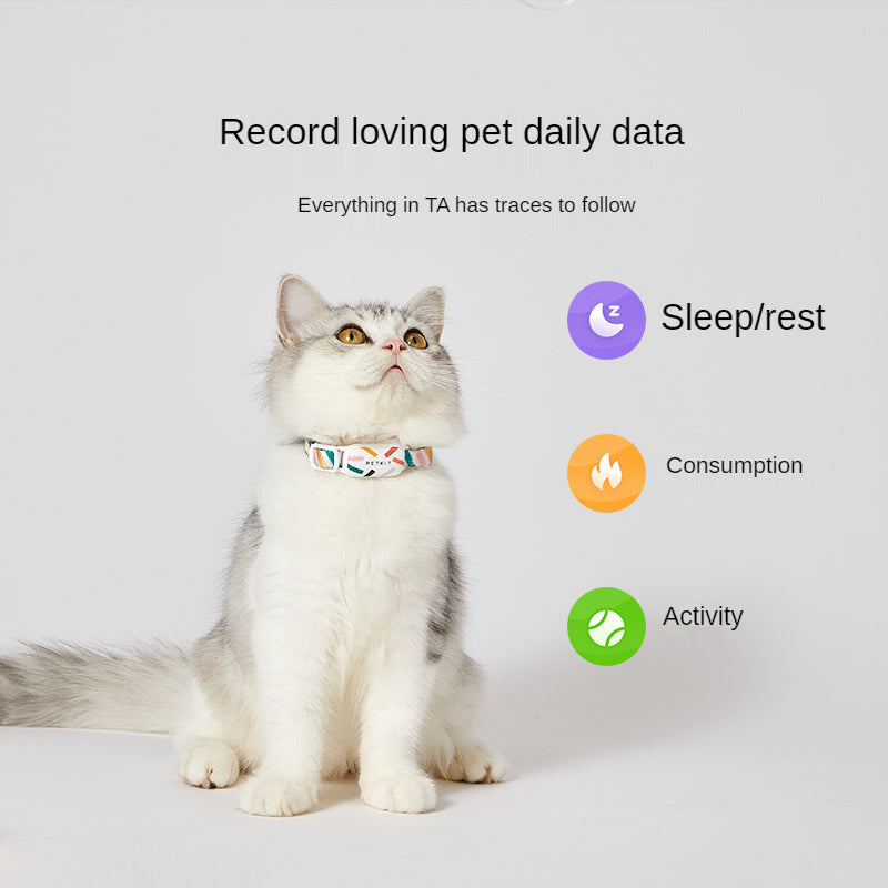 SmartSafe Pet Collar