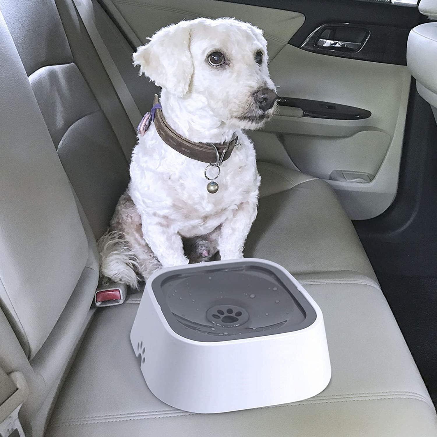 Mess-Free Drinking Bowl