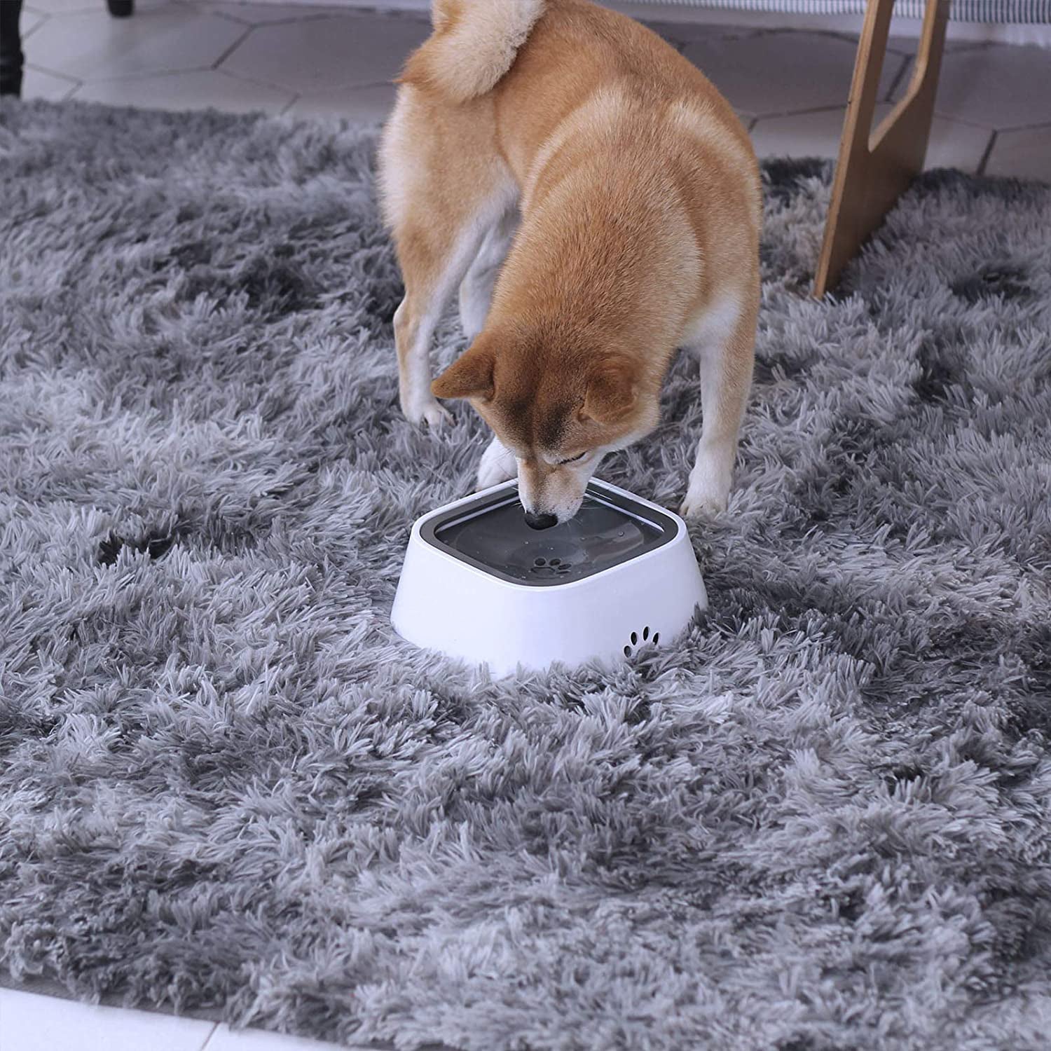 Mess-Free Drinking Bowl