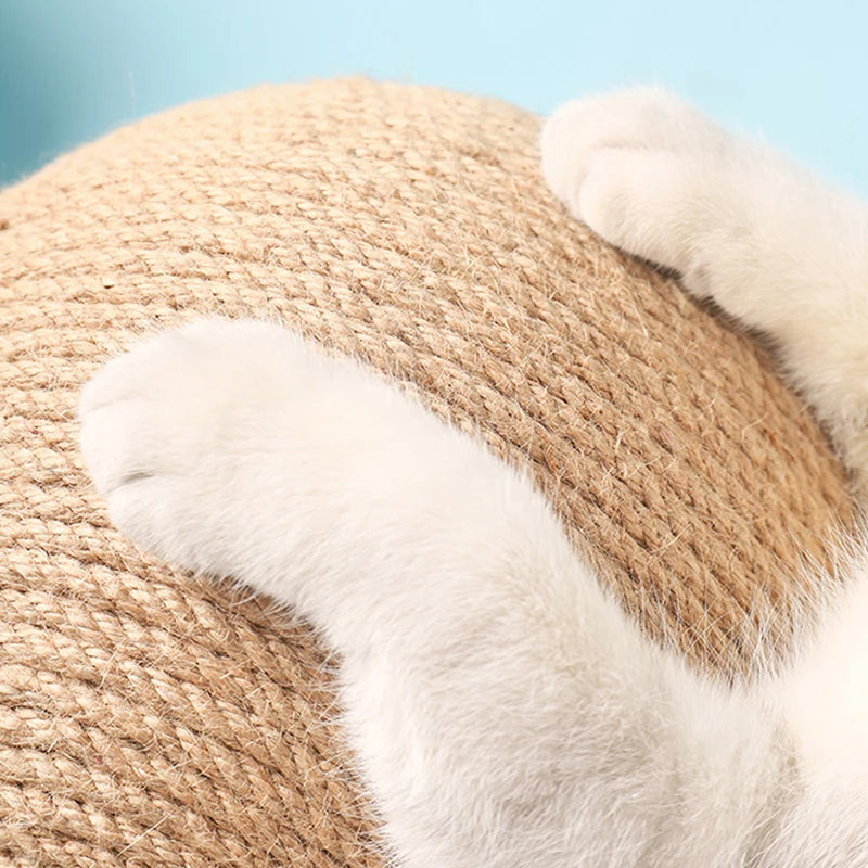 PurrBall Scratching Toy