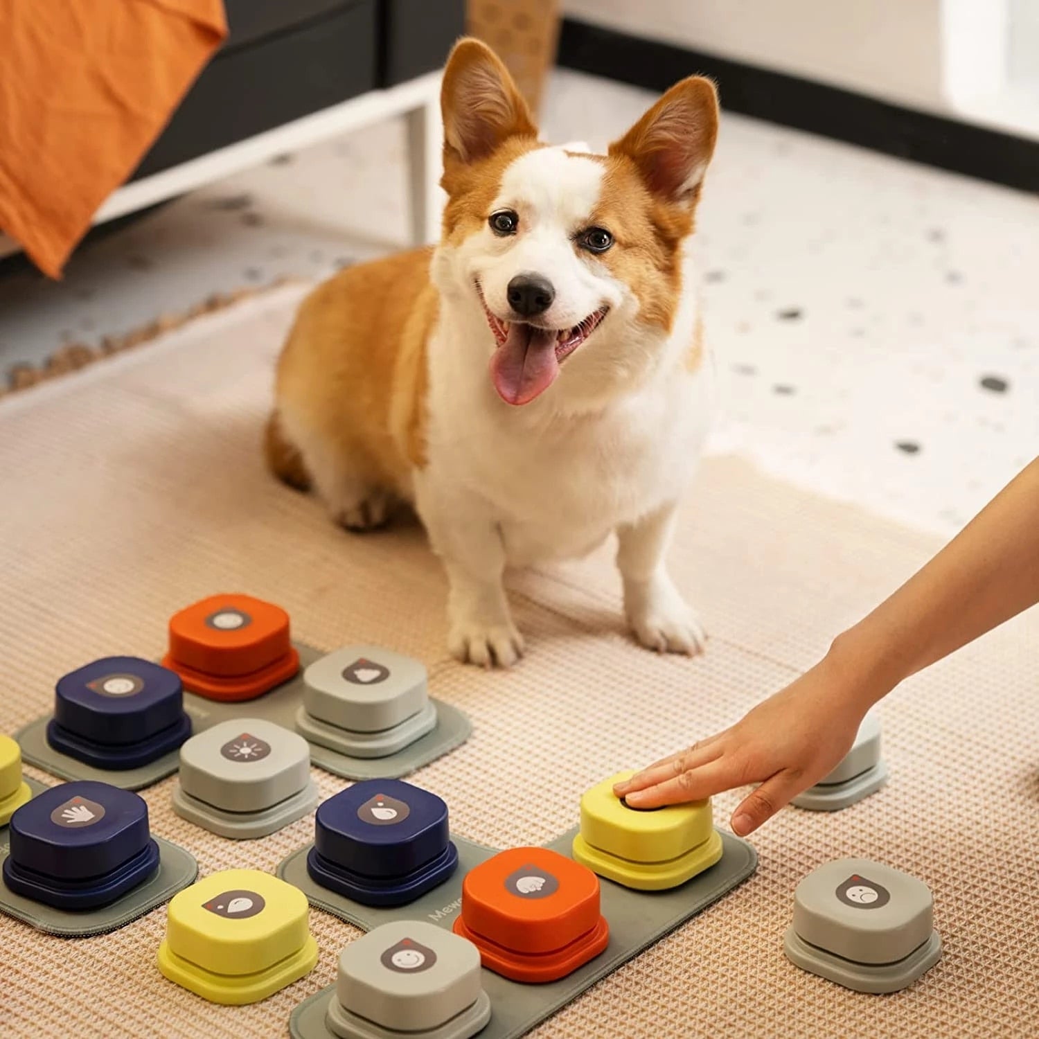 Press-to-Teach Pet Buttons