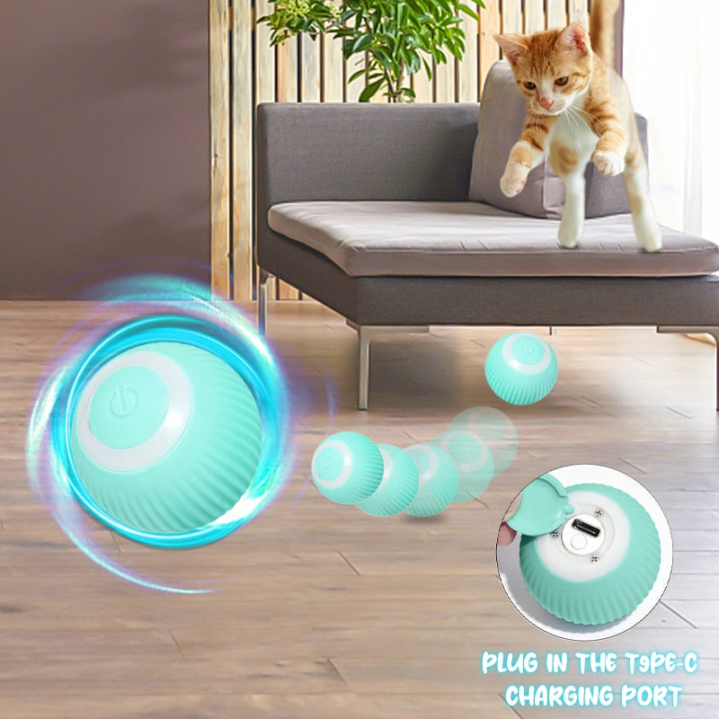 PawsPlay Smart Ball